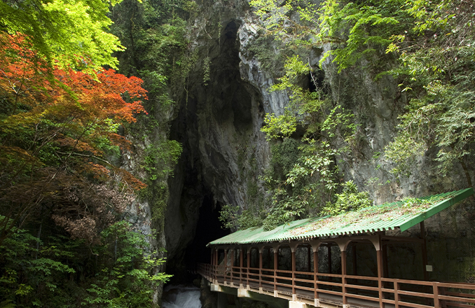 画像:秋芳洞