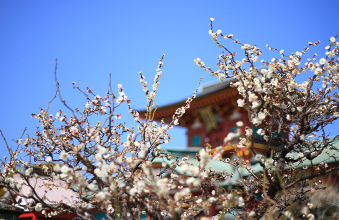 画像:防府天満宮